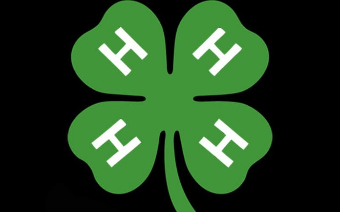 Jackson Friendship 4-H Club holds January meeting