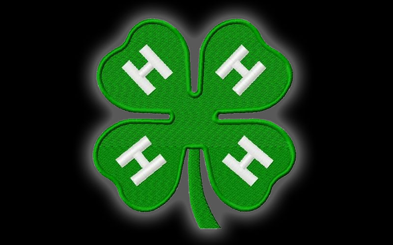 Jr Leaders 4-H Club: Forming the leaders of tomorrow